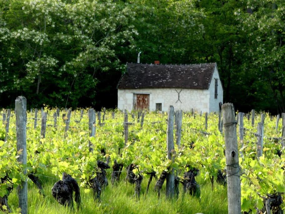 Parcay-sur-Vienne Maison De Bourg Paisible מראה חיצוני תמונה